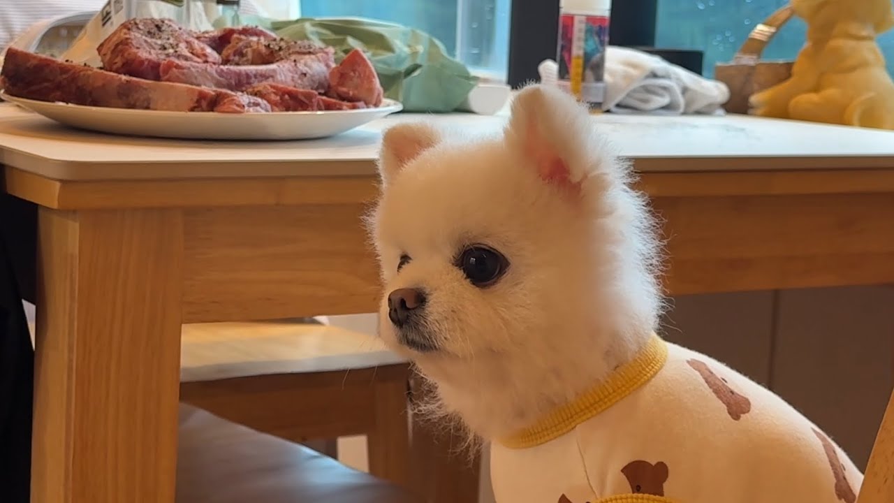 가평펜션 야무지게 놀고 왔어요!