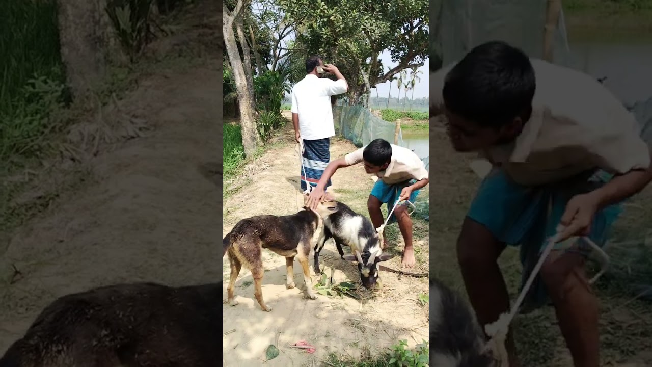 #Ki dost## Mera### colony bhai## funny video##🥺🥹🥀🌺💓🎉🥰🤗