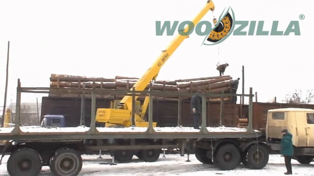 Unloading of pine logs from the railway wagons to trucks | Ukraine, Vasilkov