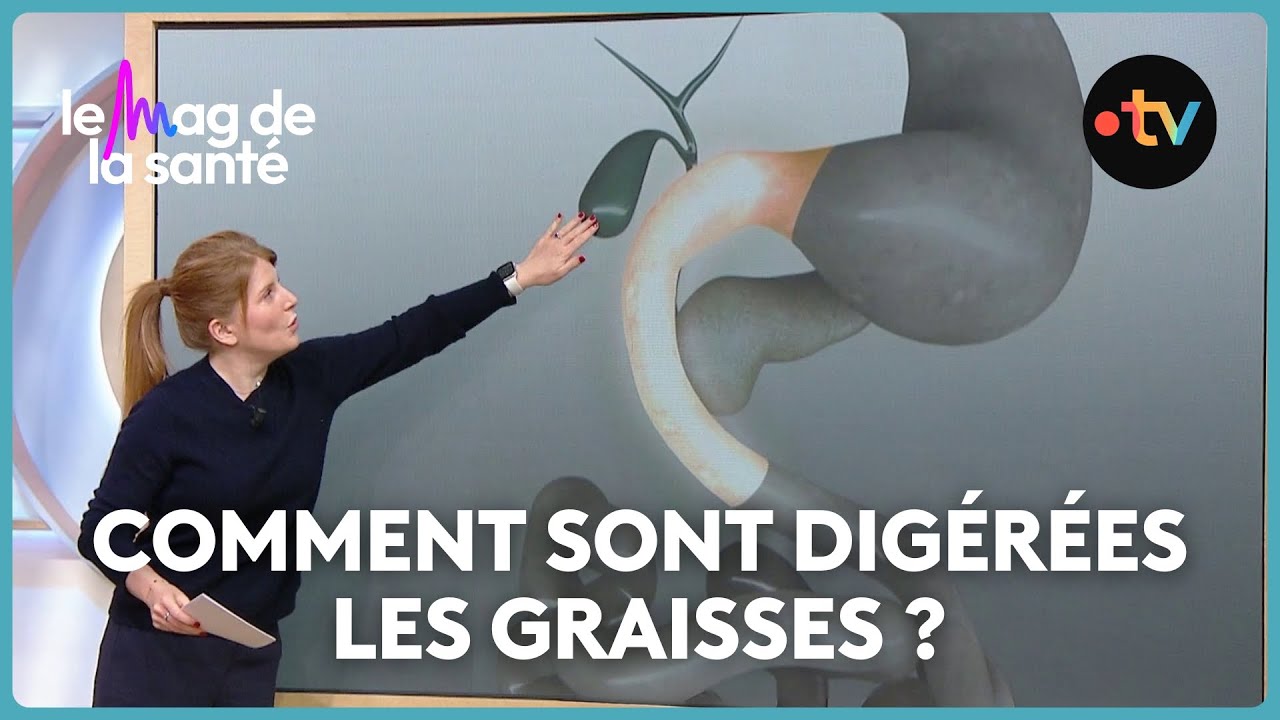 Pourquoi on digère mal les plats riches en graisses ?