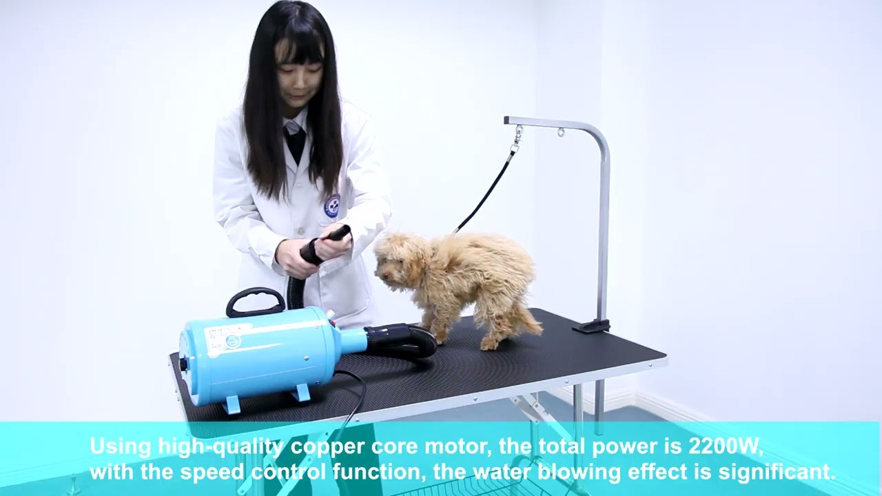 SK-VBM01 Veterinary Blowing Machine