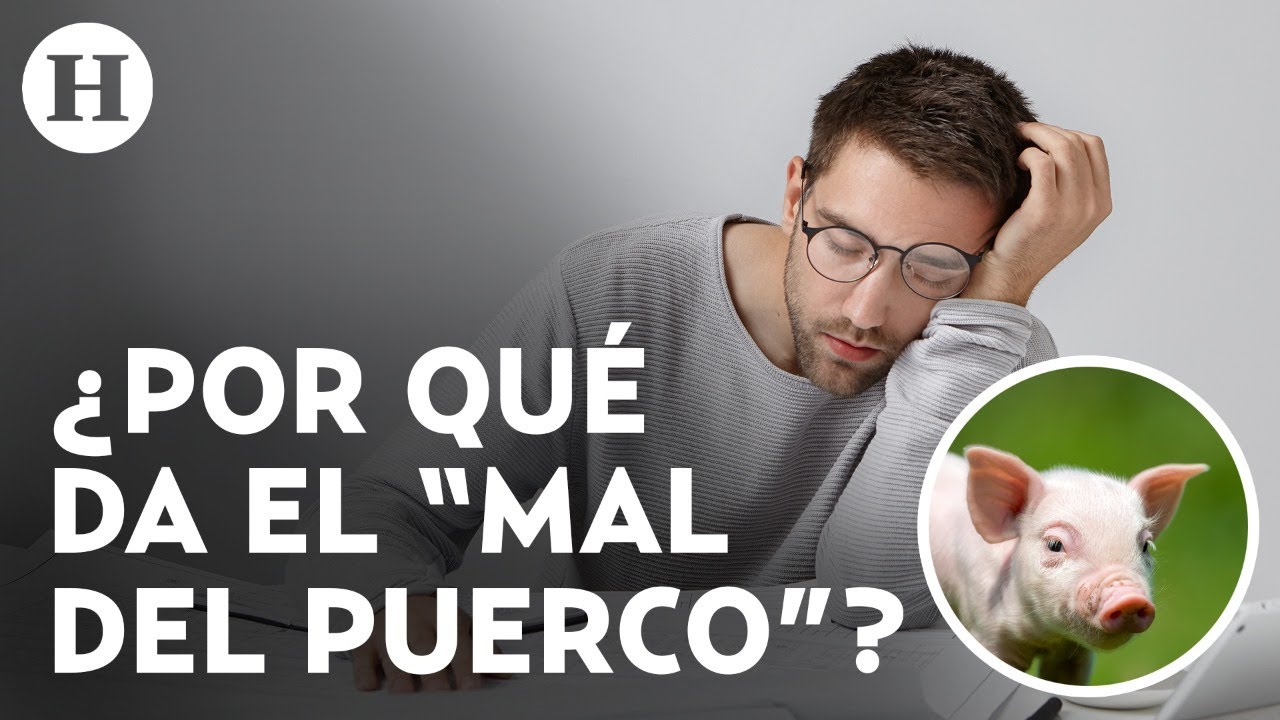 &iquest;Mal del puerco o del jabal&iacute;?: Por qu&eacute; nos da sue&ntilde;o despu&eacute;s de comer hasta estar satisfechos