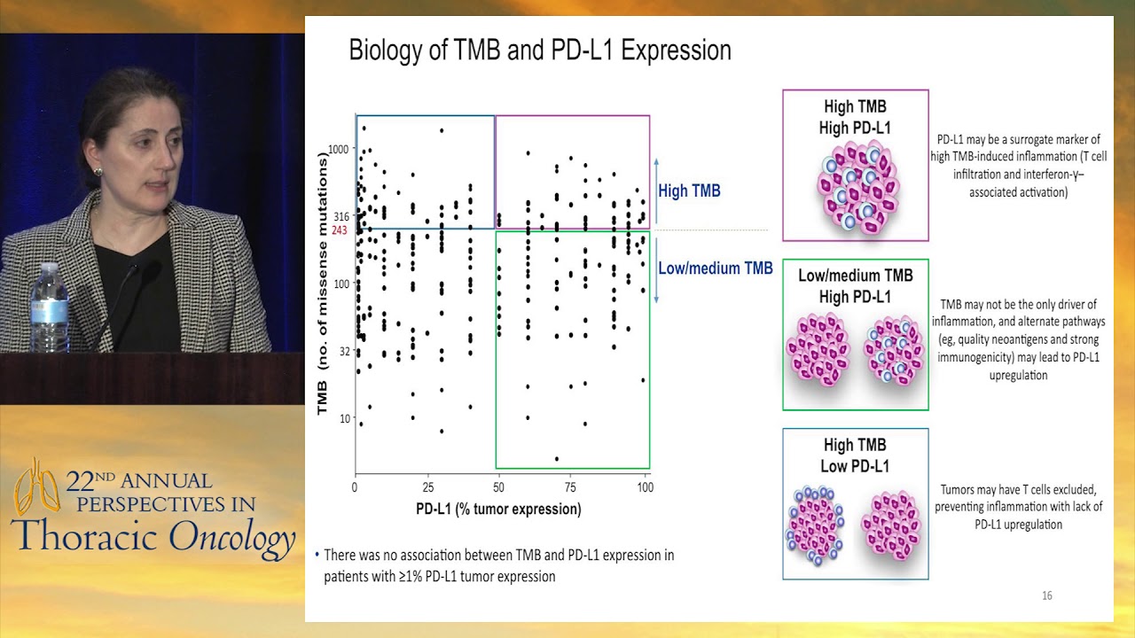 Transitioning checkpoint blockade from the second to first line in advanced NSCLC