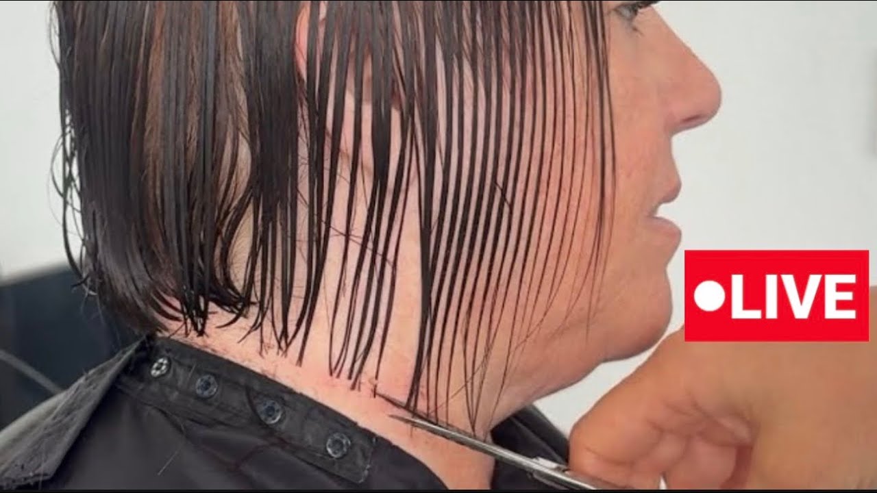 STUNNING Haircuts by Vivyan Hair Design! 💜✨🤩 #haircut #hairstyle #shorthair #longhair #hairtutorial