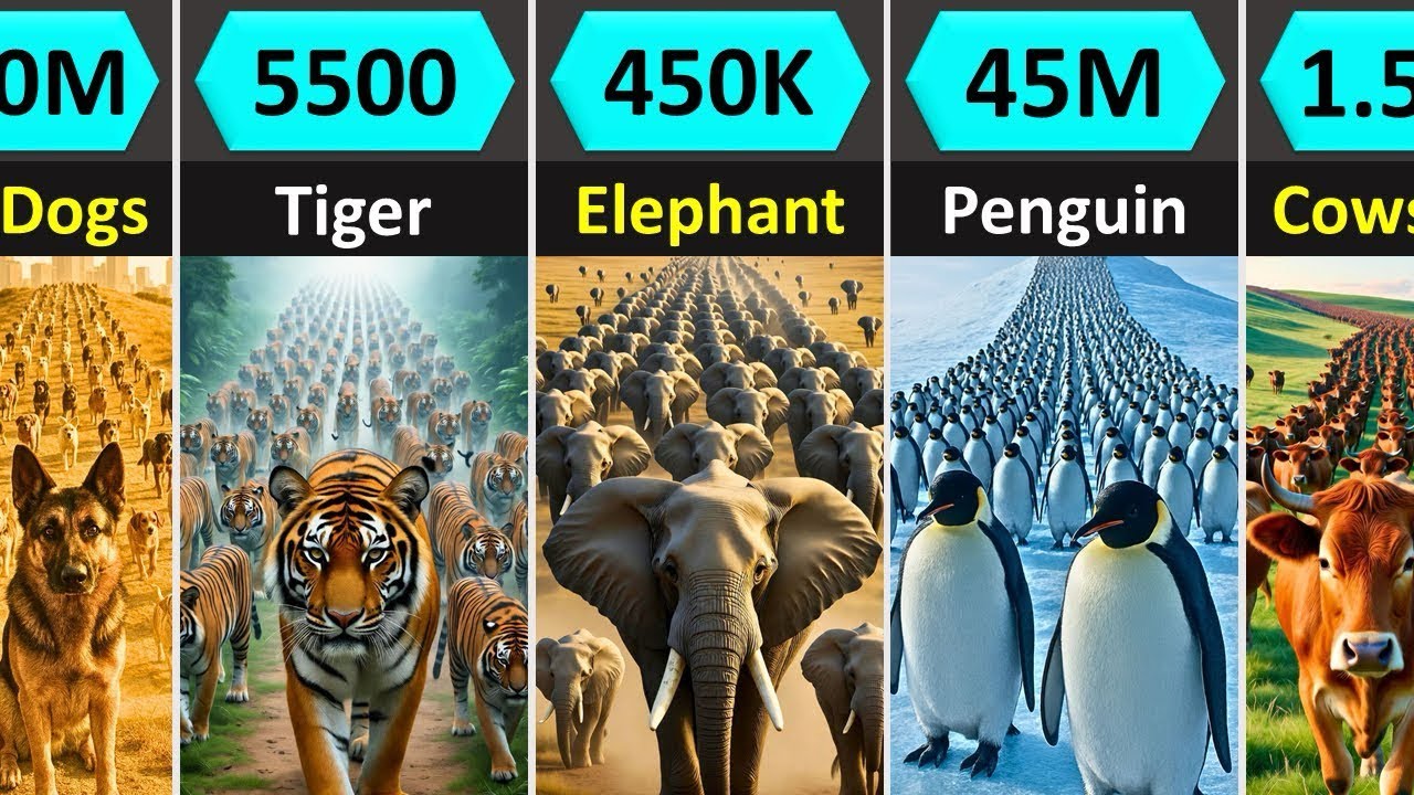 Animal Population Comparison (Rare to Common)