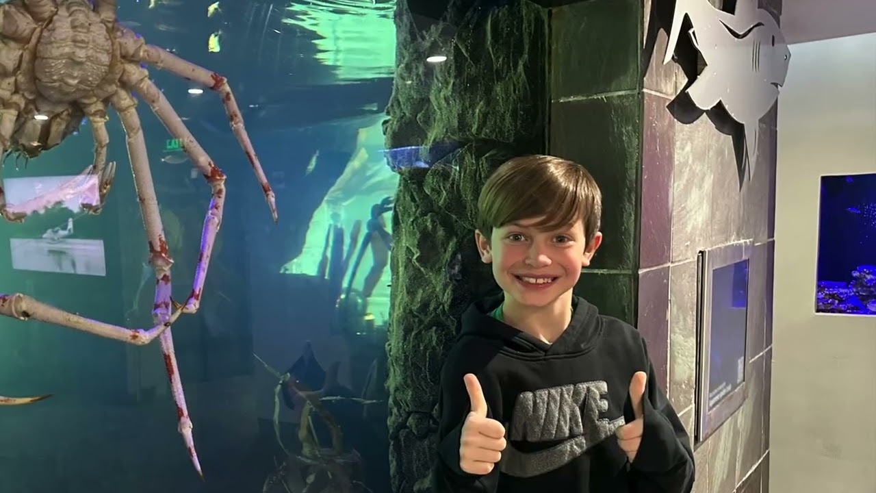 Dallas Aquarium. Boys trip 2026