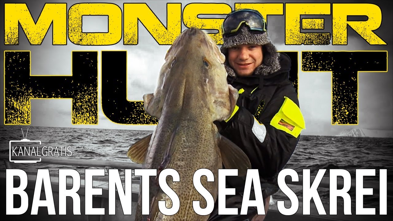 Monster Hunt - Barents Sea Skrei (Cod)