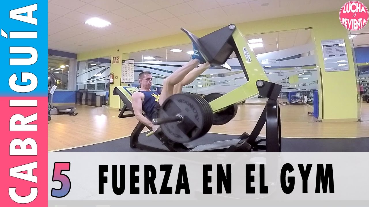 RUTINAS y EJERCICIOS de FUERZA y POTENCIA para CICLISTAS en GYM | CABRIGUIA 5