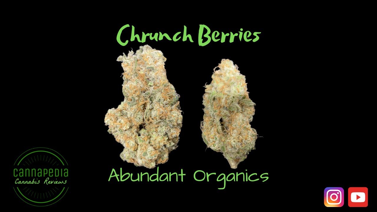 Crunch Berries Strain Review - Abundant Organics - Cannapedia