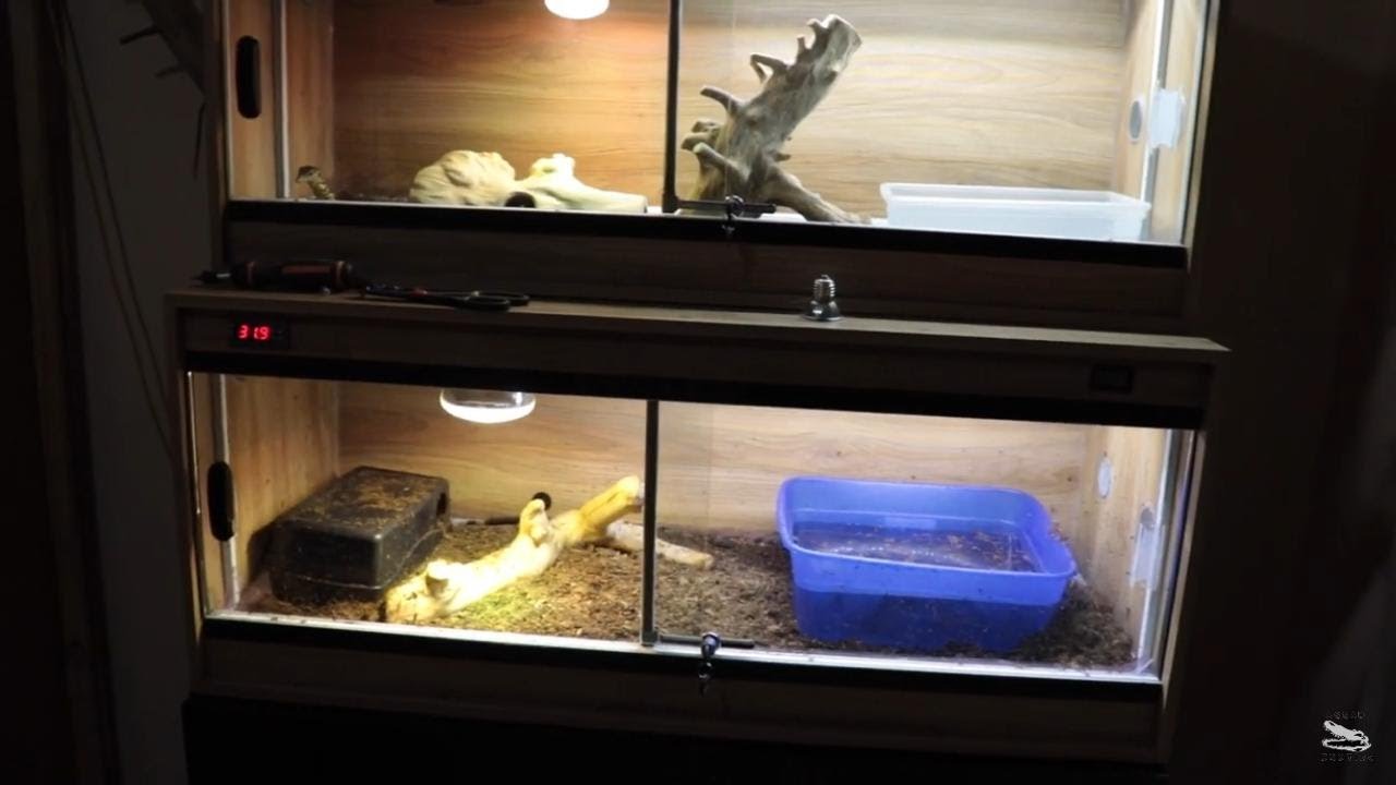 Nuevos Terrarios Para Los Varanos