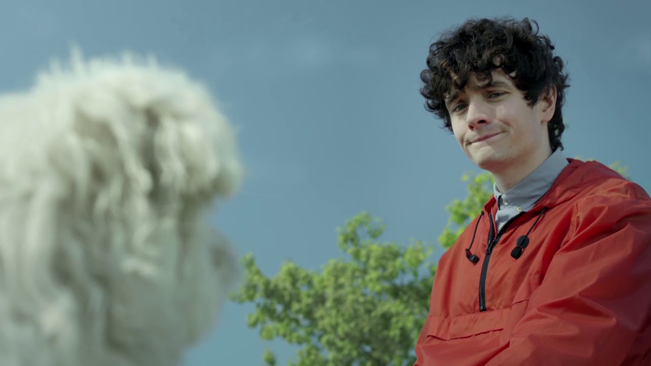 Amazon Prime TV ad - Dog