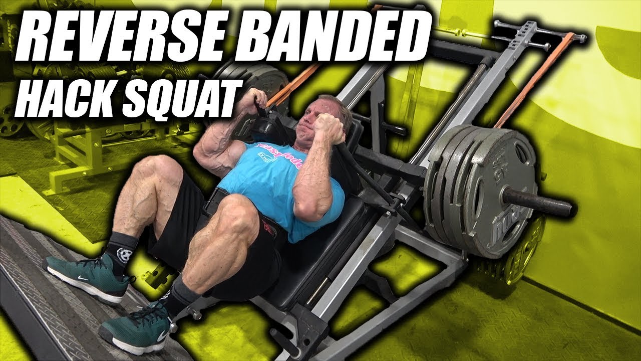 Exercise Index - Reverse Banded Hack Squats