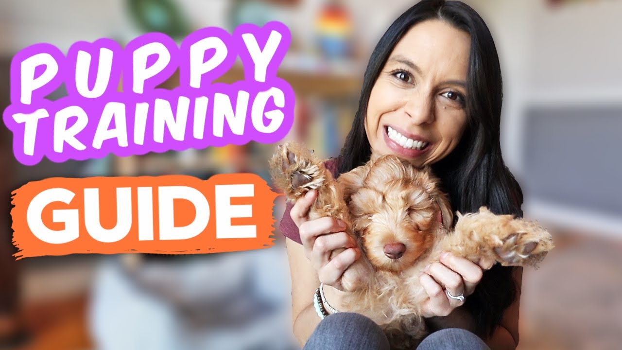 10 PUPPY HACKS EVERY PET PARENT SHOULD KNOW 🐶 Made puppy training SO EASY!!