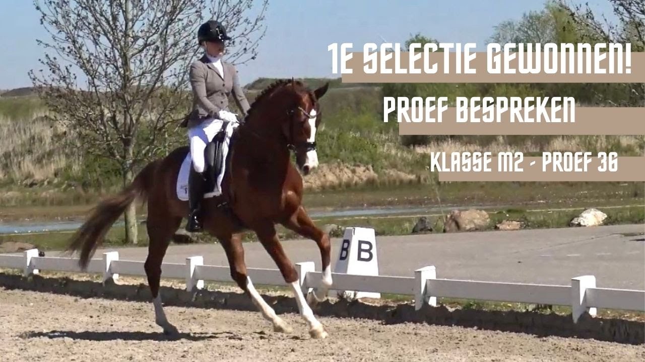 Selectie M2 gewonnen! + Proef bespreken