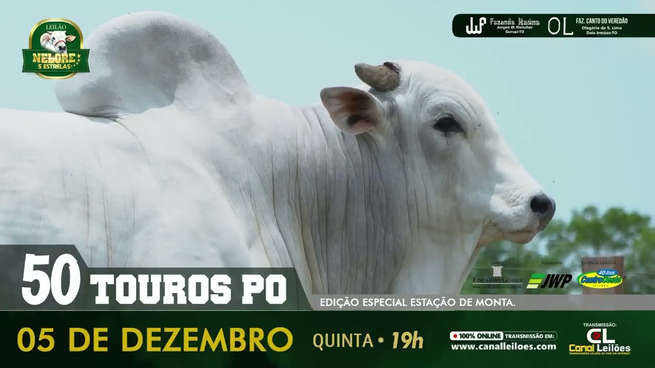 ⭐⭐⭐⭐⭐🐂       *50 Touros*     *Transmiss&atilde;o*: *www.canalleiloes.com*