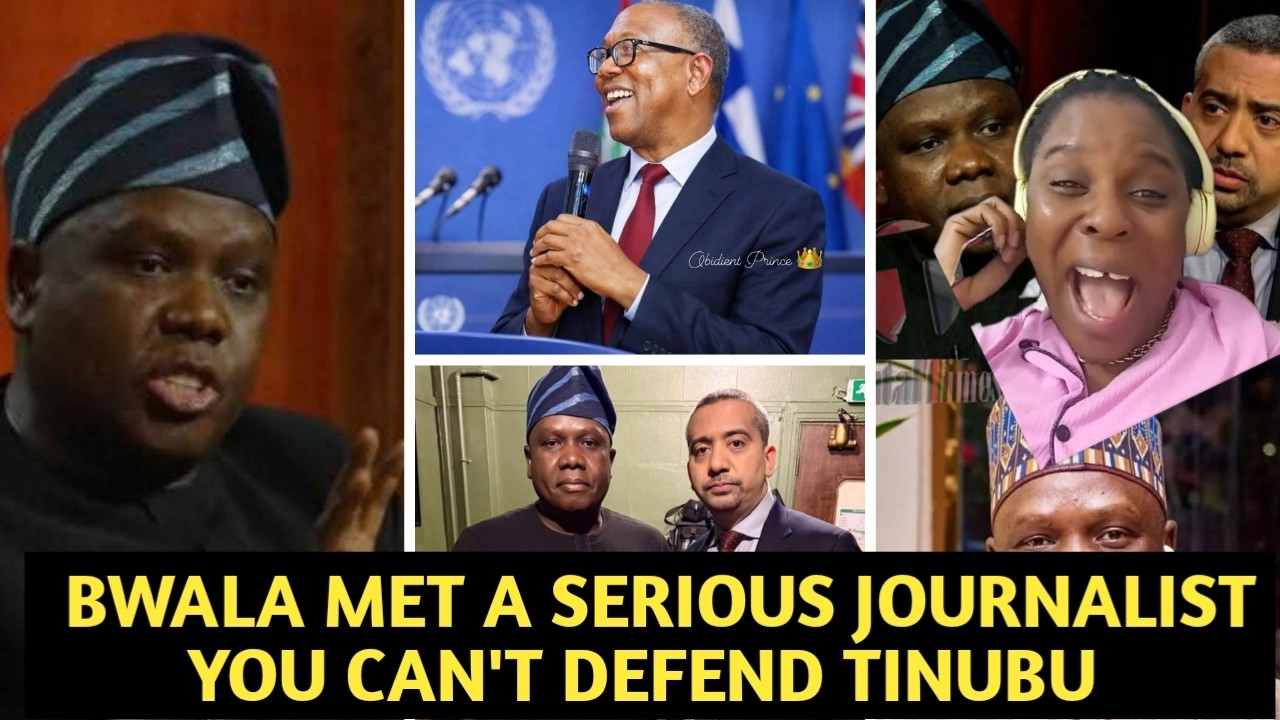 YOU CANNOT DEFEND TINUBU WITHOUT LOOKING STUP1D. TINUBU DAUGHTER REPLIES DANIEL BWALA