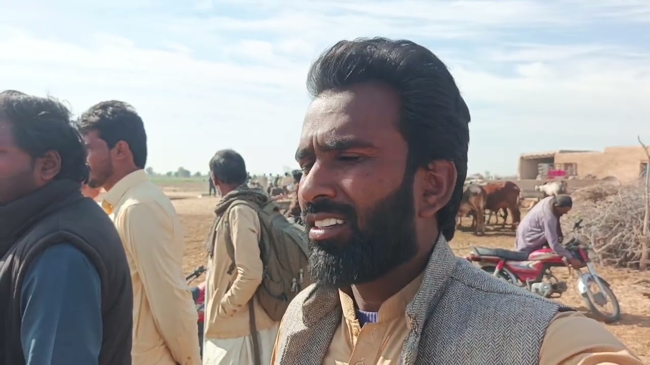 cholistan raili date 2 13 2026 last rally 🛻🛻👍😎