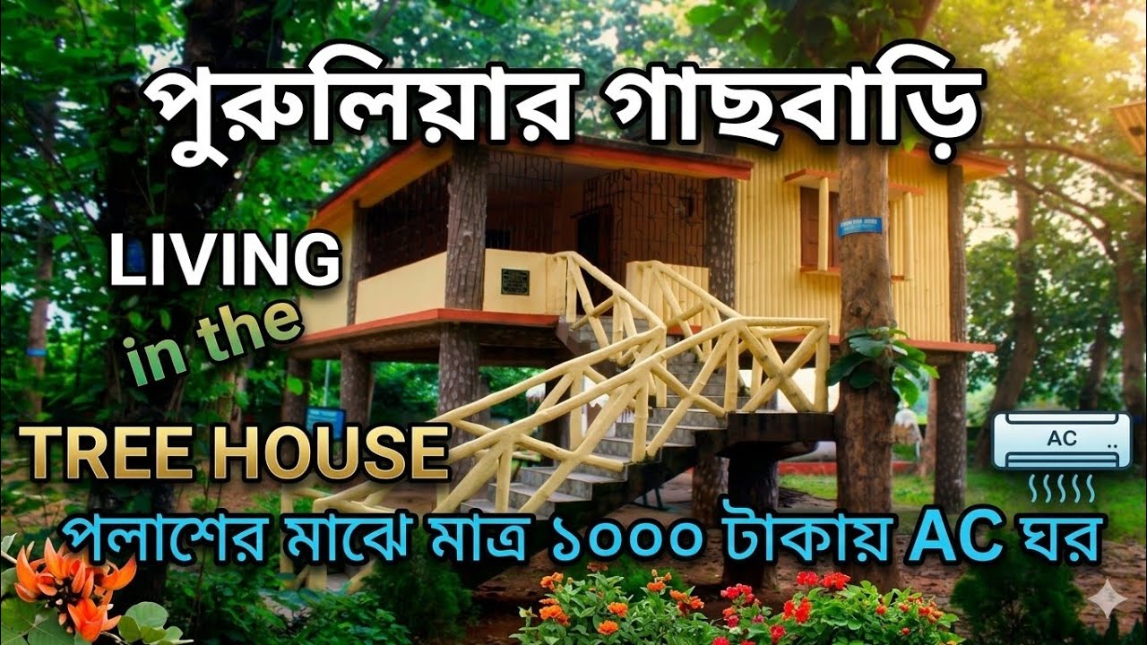 Secret Tree house in Purulia