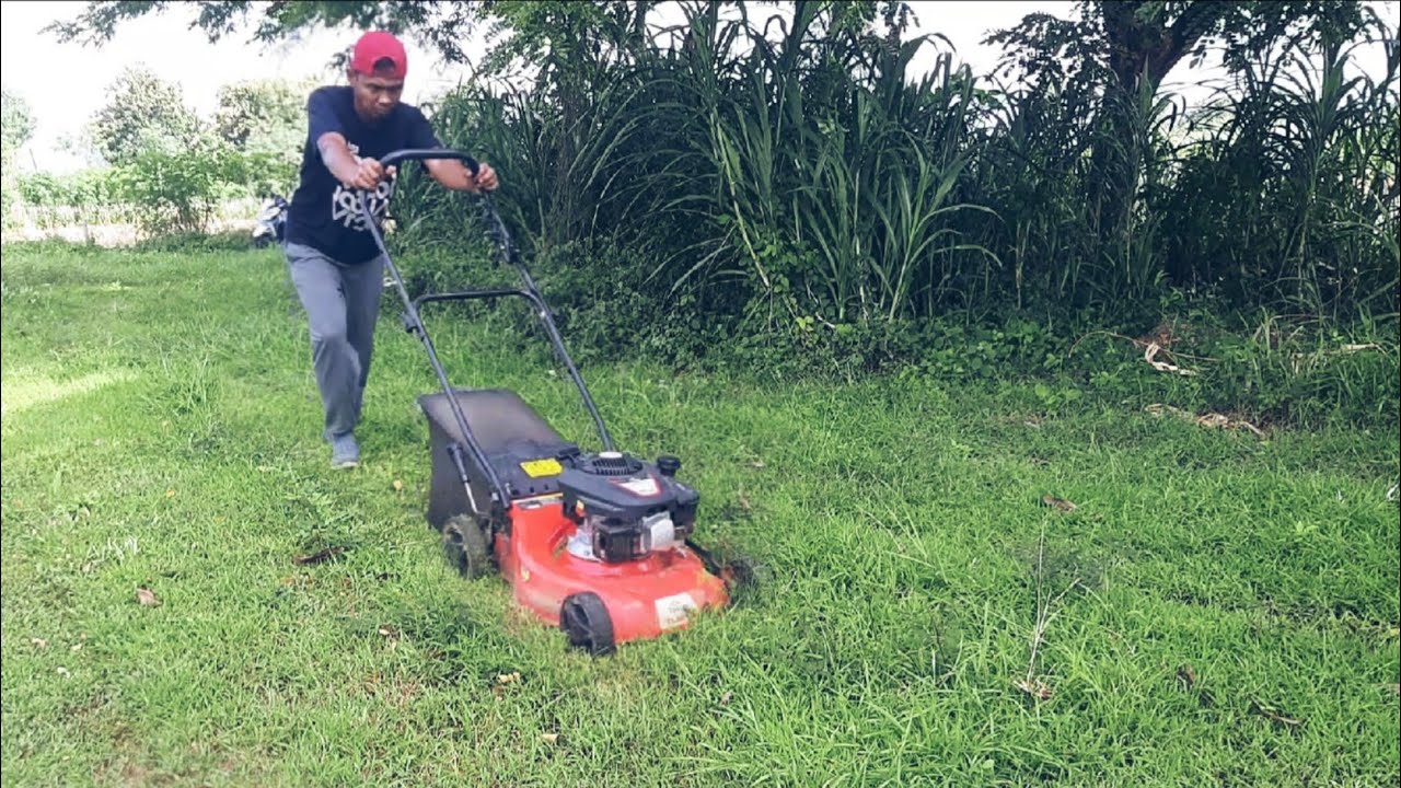 Before After Pemotongan Rumput Liar | Bersih, Rapi dan Satisfying