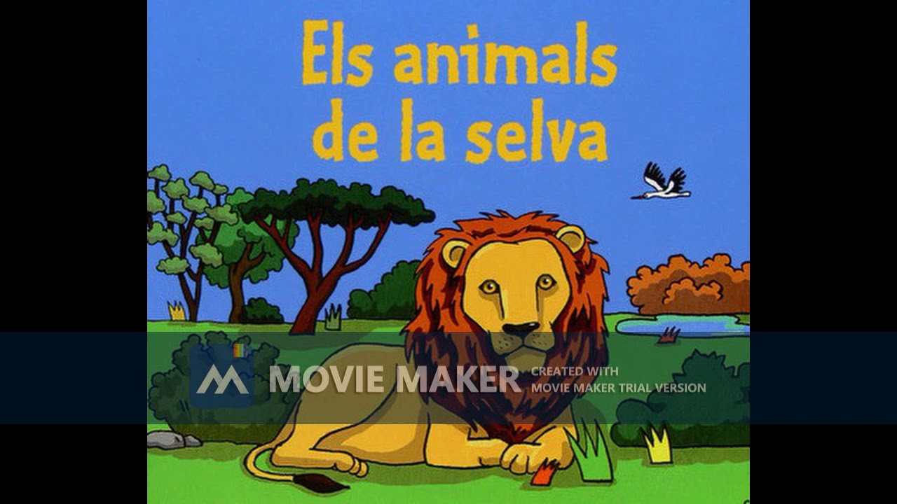 Els animals de la Selva  Nadal P3