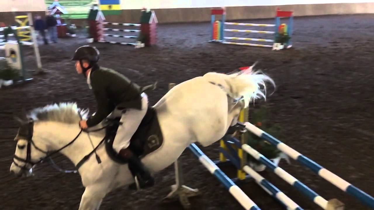 Horse jump in slo-mo Iphone 5s