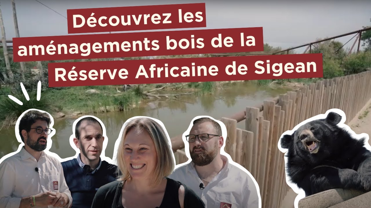 Découvrez les aménagements bois de la réserve africaine de Sigean !