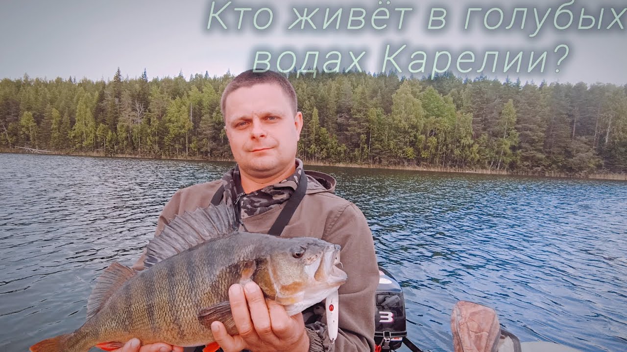 МОЙ ЛИЧНЫЙ ТРОФЕЙ.НОЧЬ НА БЕРЕГУ.РЫБАЛКА В КАРЕЛИИ.