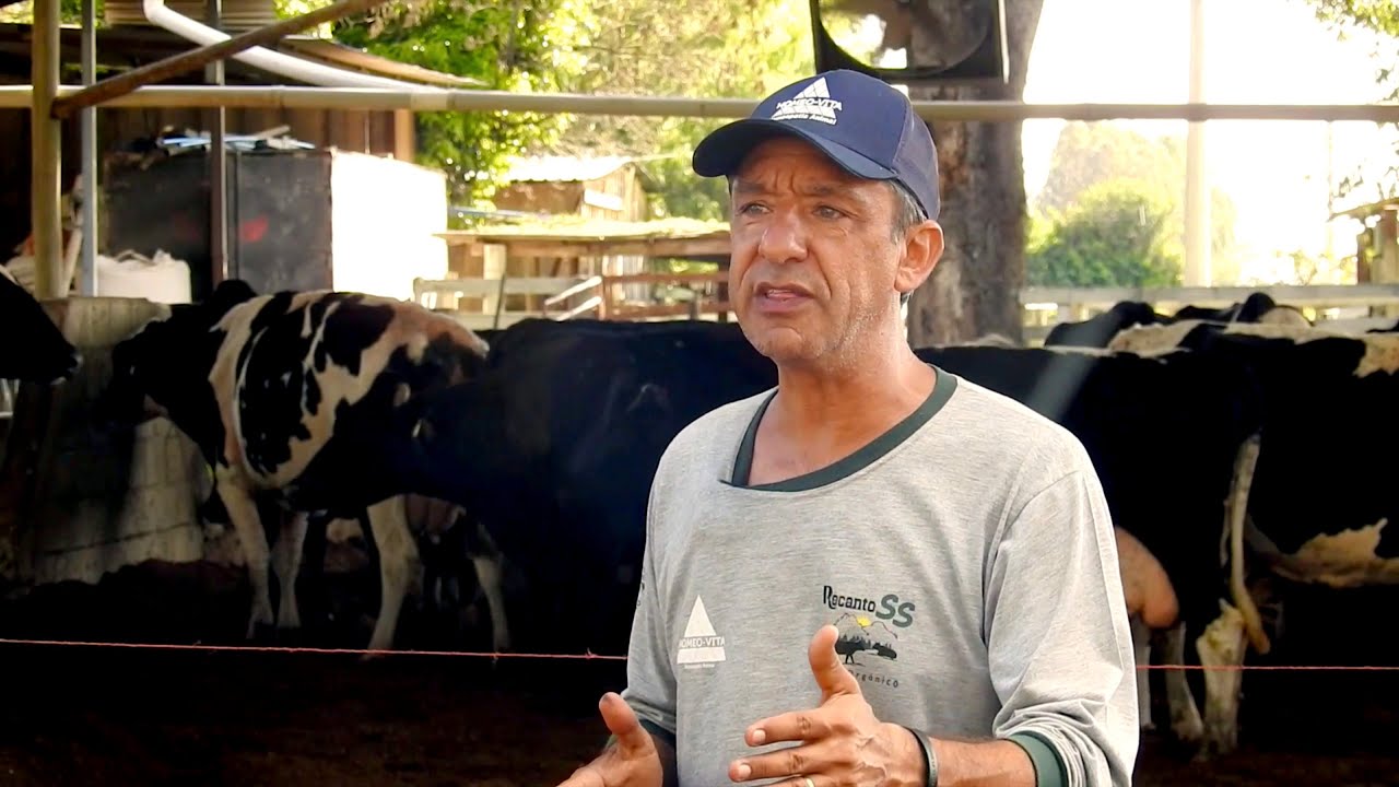 Produtor lucra produzindo leite a pasto