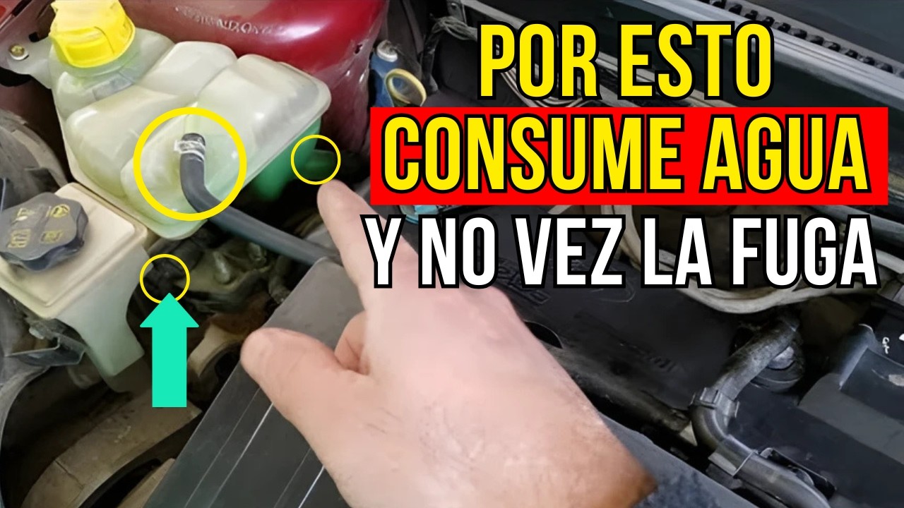 Consume ANTICONGELANTE y no VEZ fuga… ¡PELIGRO, revisa esto!