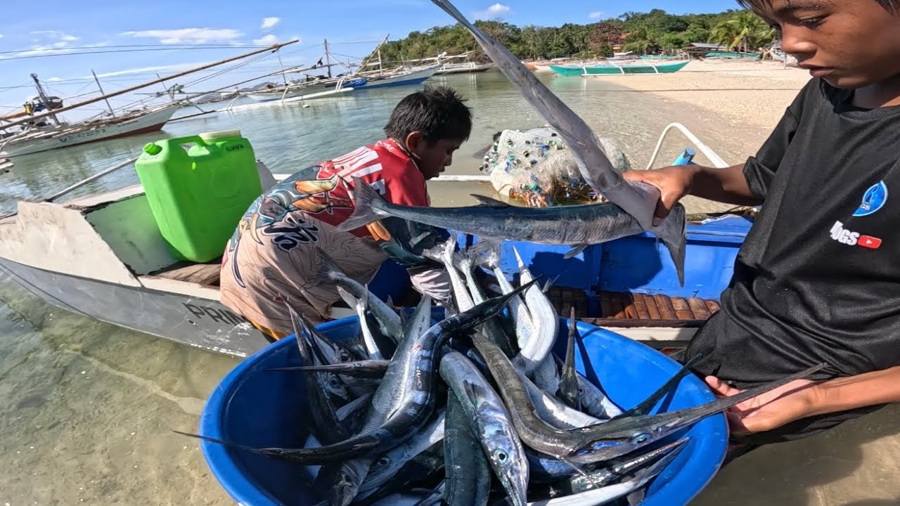 Nalambat namin kawan ng batalay Grabi ang Dami nito! Catch & Sell