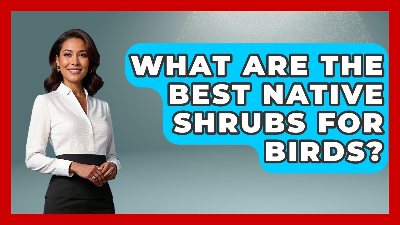 What Are The Best Native Shrubs For Birds? - Bird Watching Diaries