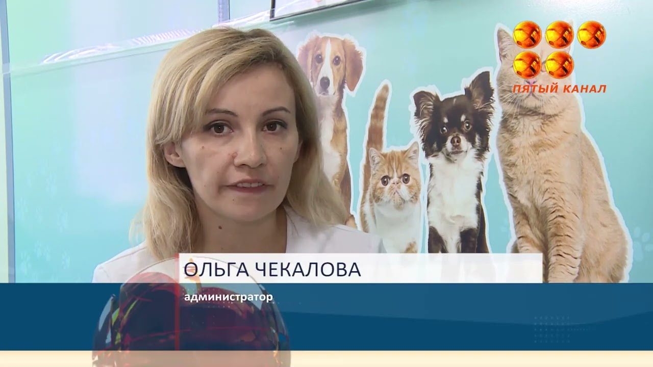 С 1-го сентября 2023 года регистрация домашних животных станет обязательной процедурой.