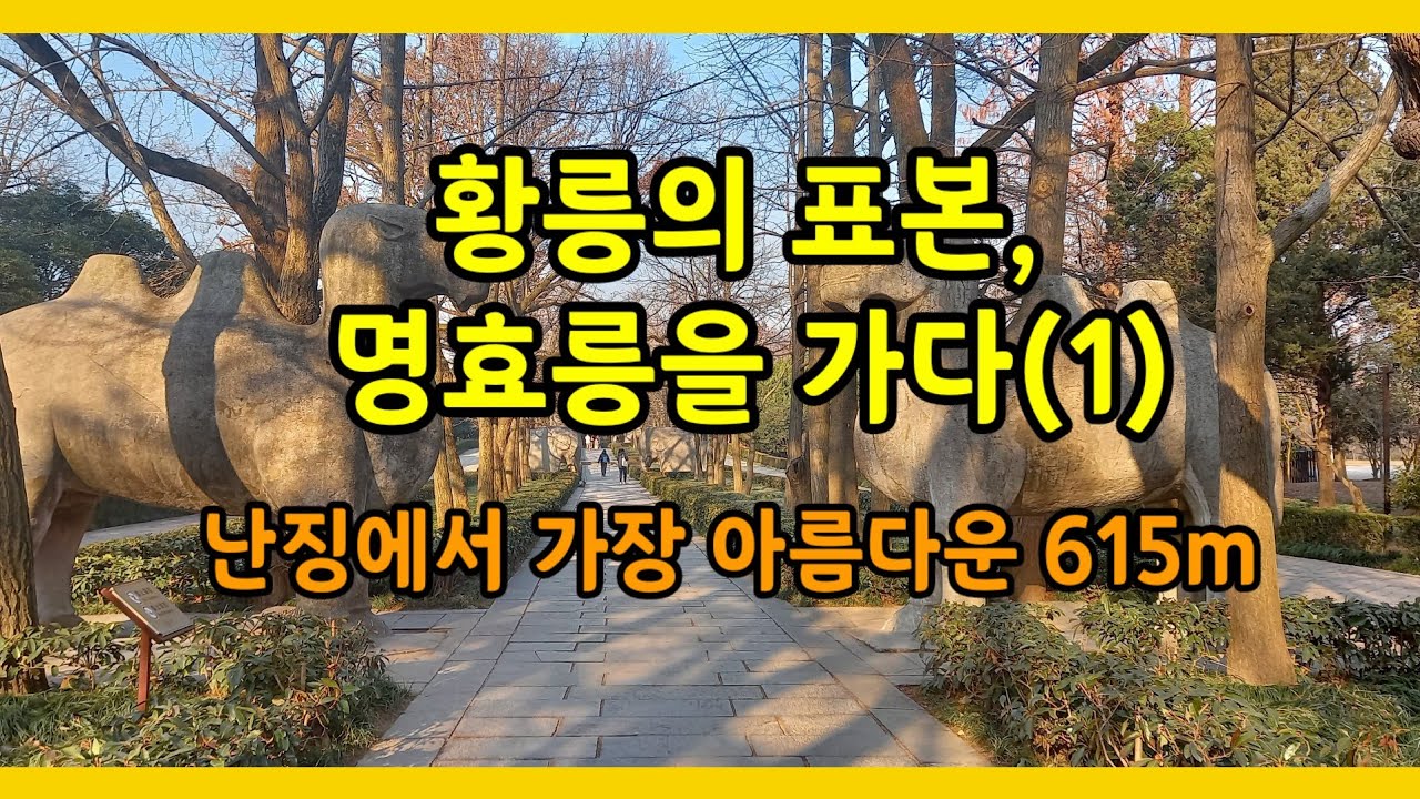 난징에서 가장 아름다운 615m