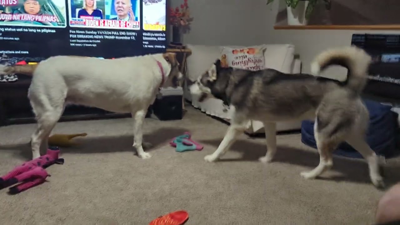 They're being funny 😄