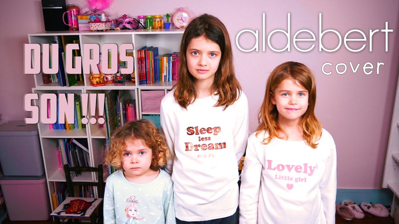 Du Gros Son - Aldebert [Cover]