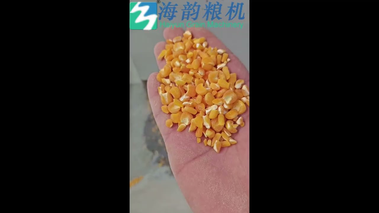 corn grit and meal mill machine plant ,welcome to inquiry:+86158005378528