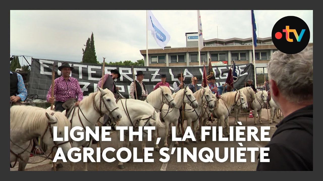 Ligne THT entre Jonquières et Fos : la filière agricole s’inquiète et se mobilise