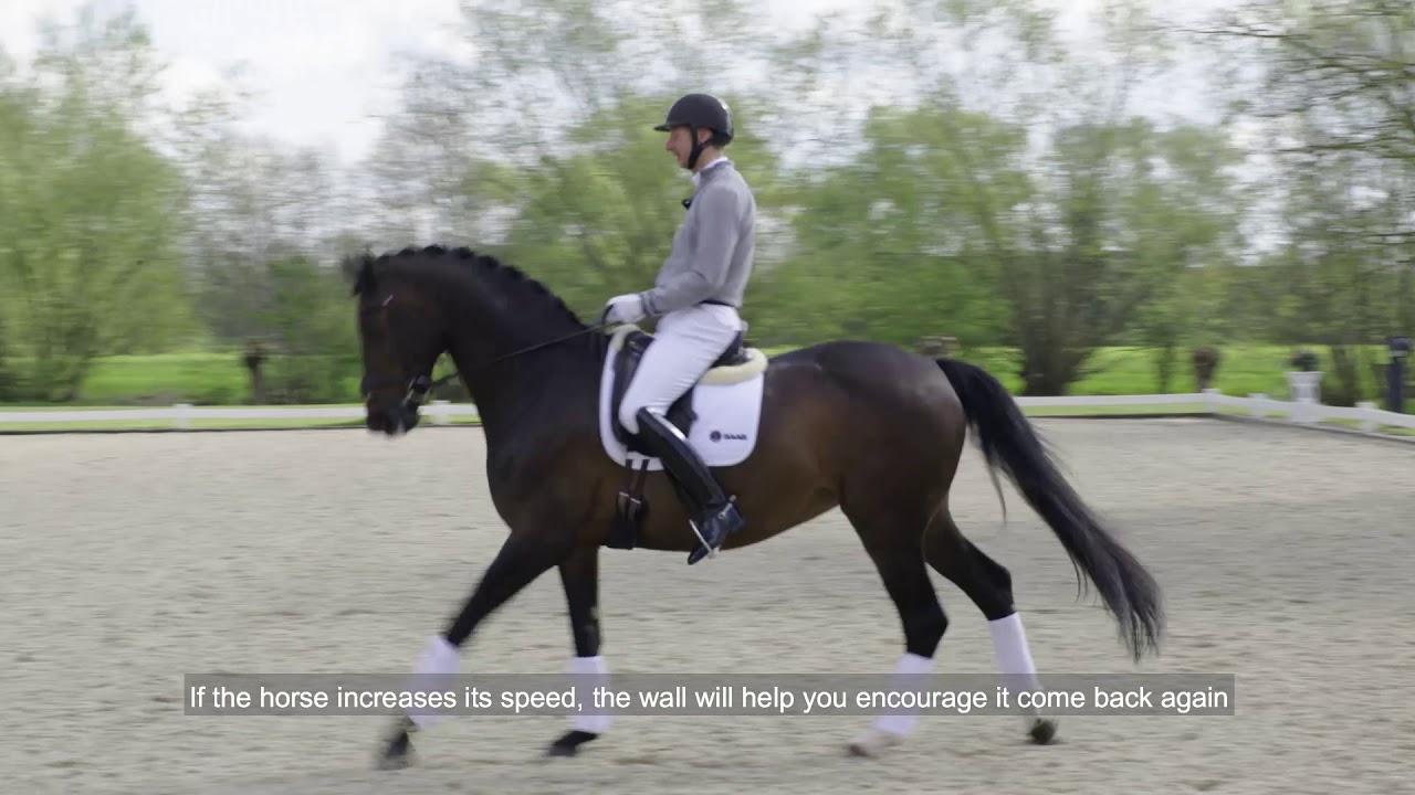 Patrik Kittel Dressage Tour S2E2 - Medelsvår Nivå: Galoppombyten