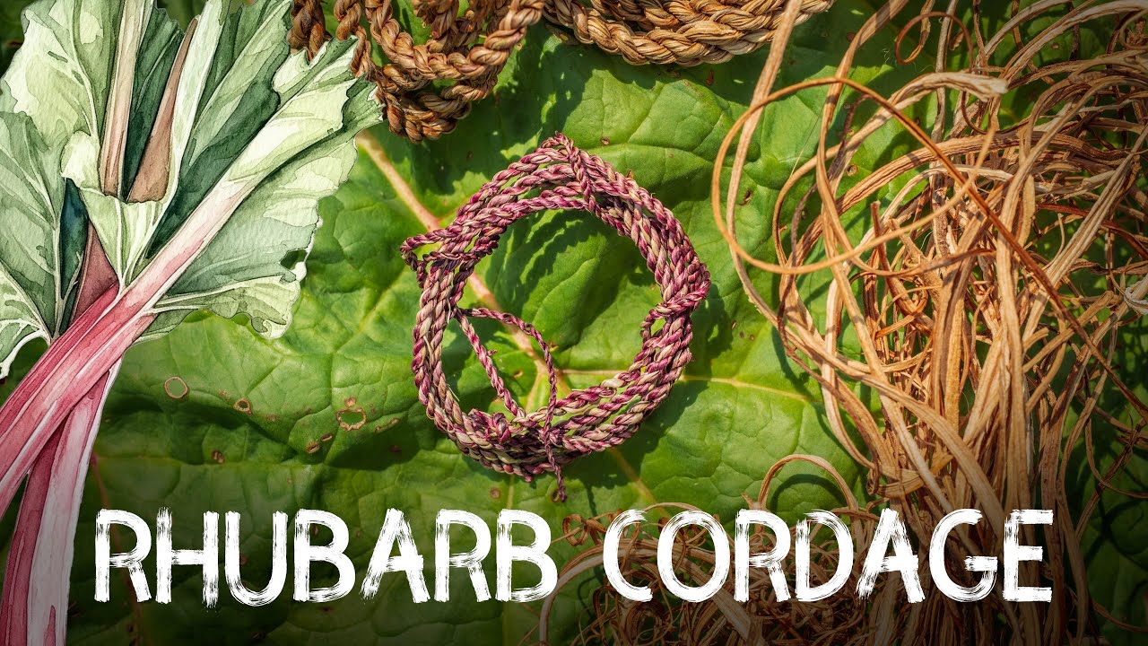 Rhubarb Cordage | Cordage from foraged fibres | Ep 11