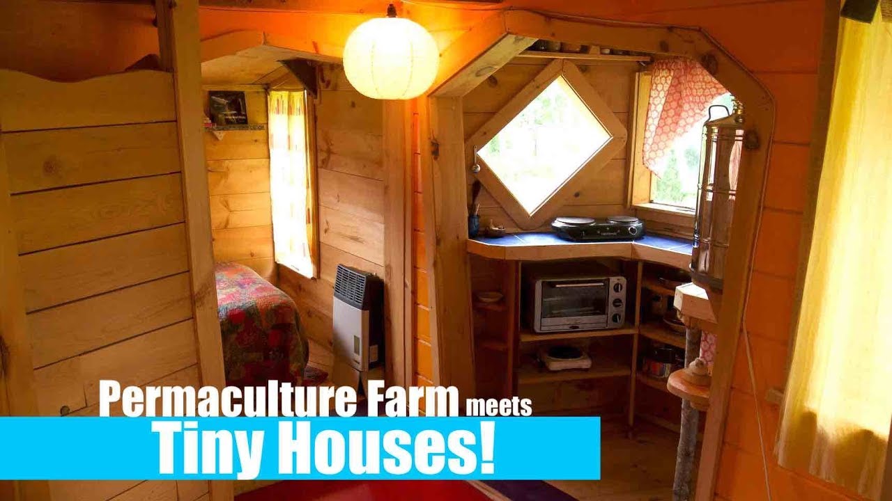 Permaculture Organic 