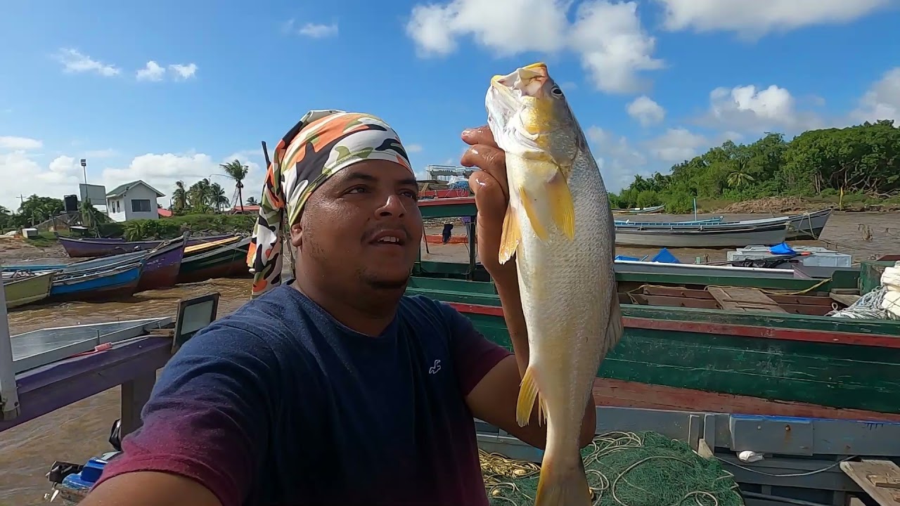 Guyana Snapper Fishing.