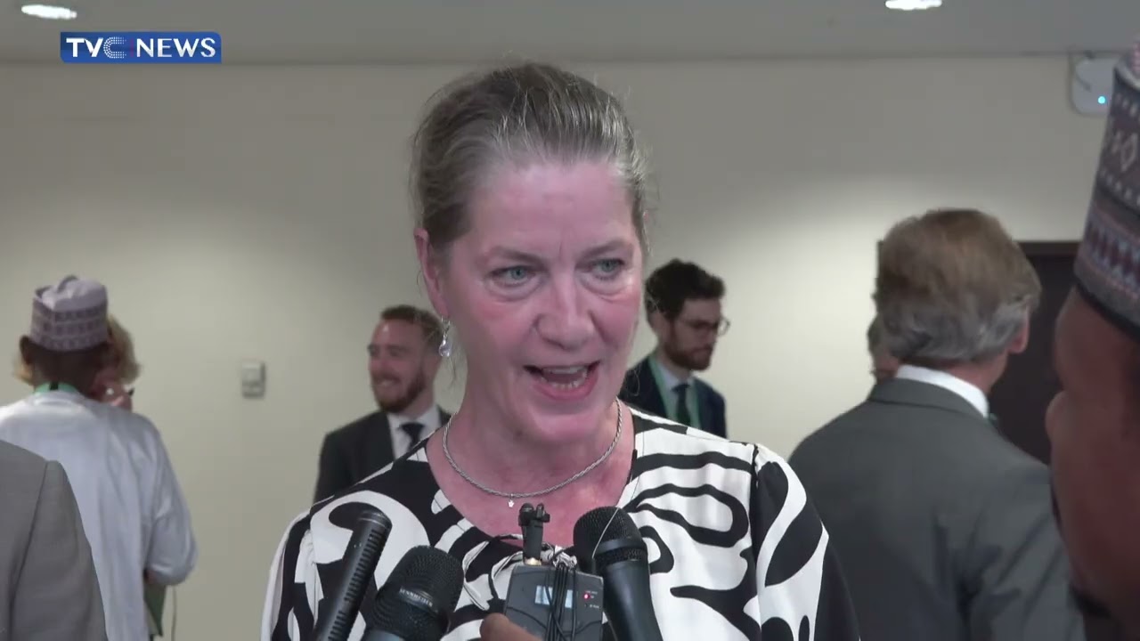 German Ambassador To Nigeria Speaks After Meeting With VP Shettima