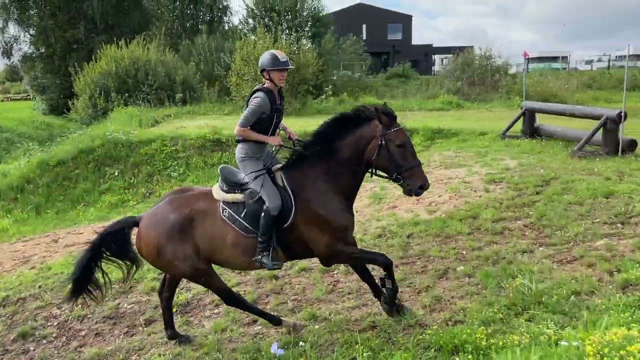 Woldemor