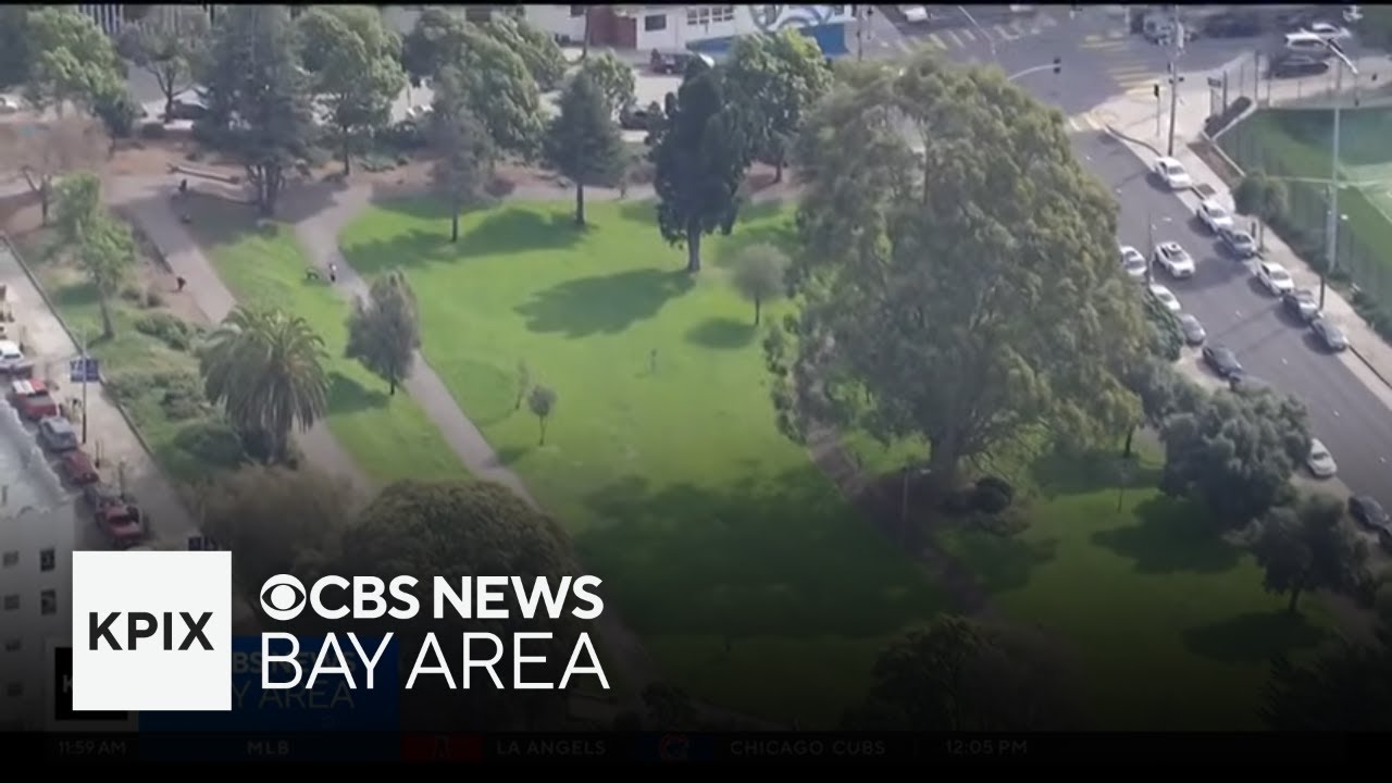Police storm San Francisco's Jefferson Park in massive drug bust