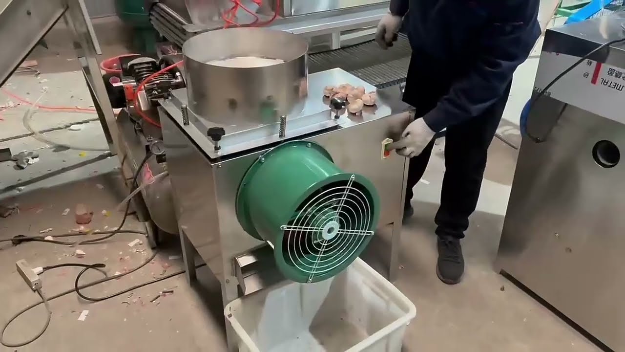 Garlic Bulb Separator Machine Working Video Show