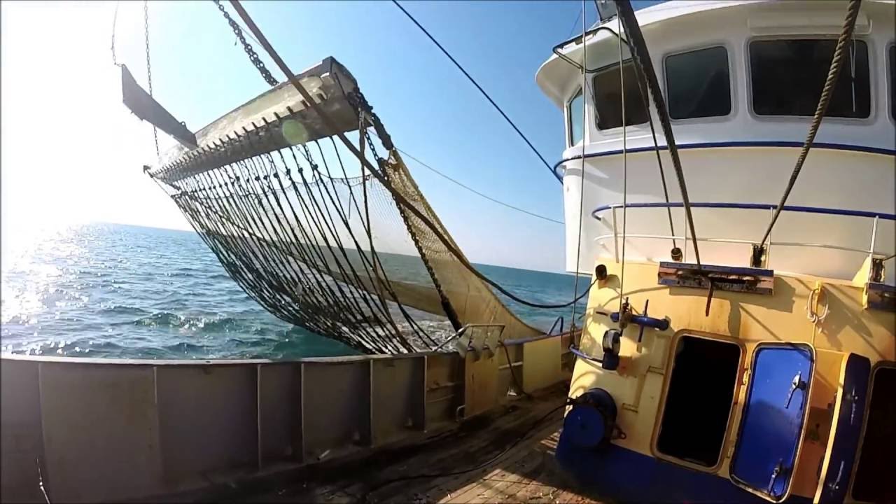 Vissen met de kotter UK33