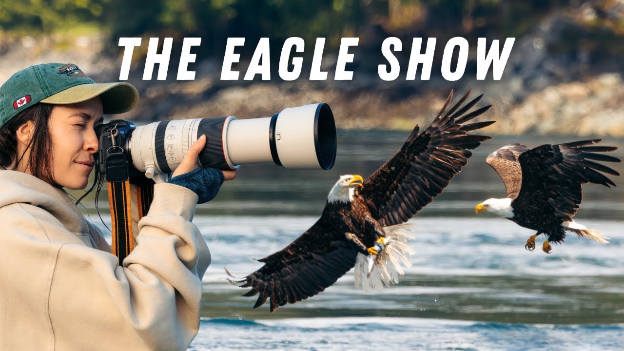 EPIC Bald Eagle Feeding Frenzy in British Columbia – HUNDREDS in Action! | The Eagle Show (Canada)