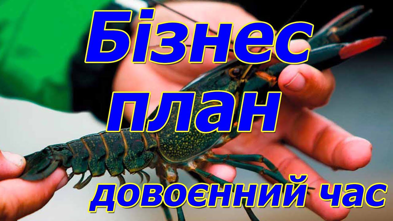 Що потрібно знати для створення бізнес плану для ферми АККР