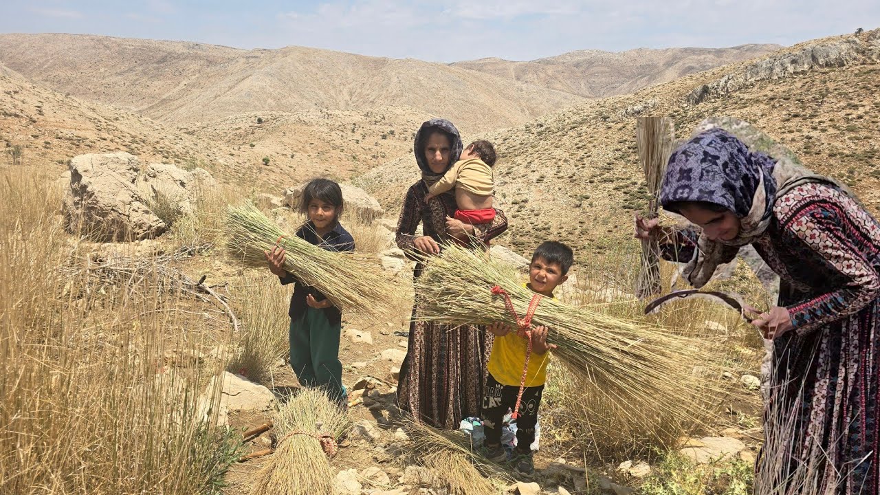 Nomadic Woman’s Adventure with Her Children  GatheringWild Brooms inthe Heart of theZagros Mountains