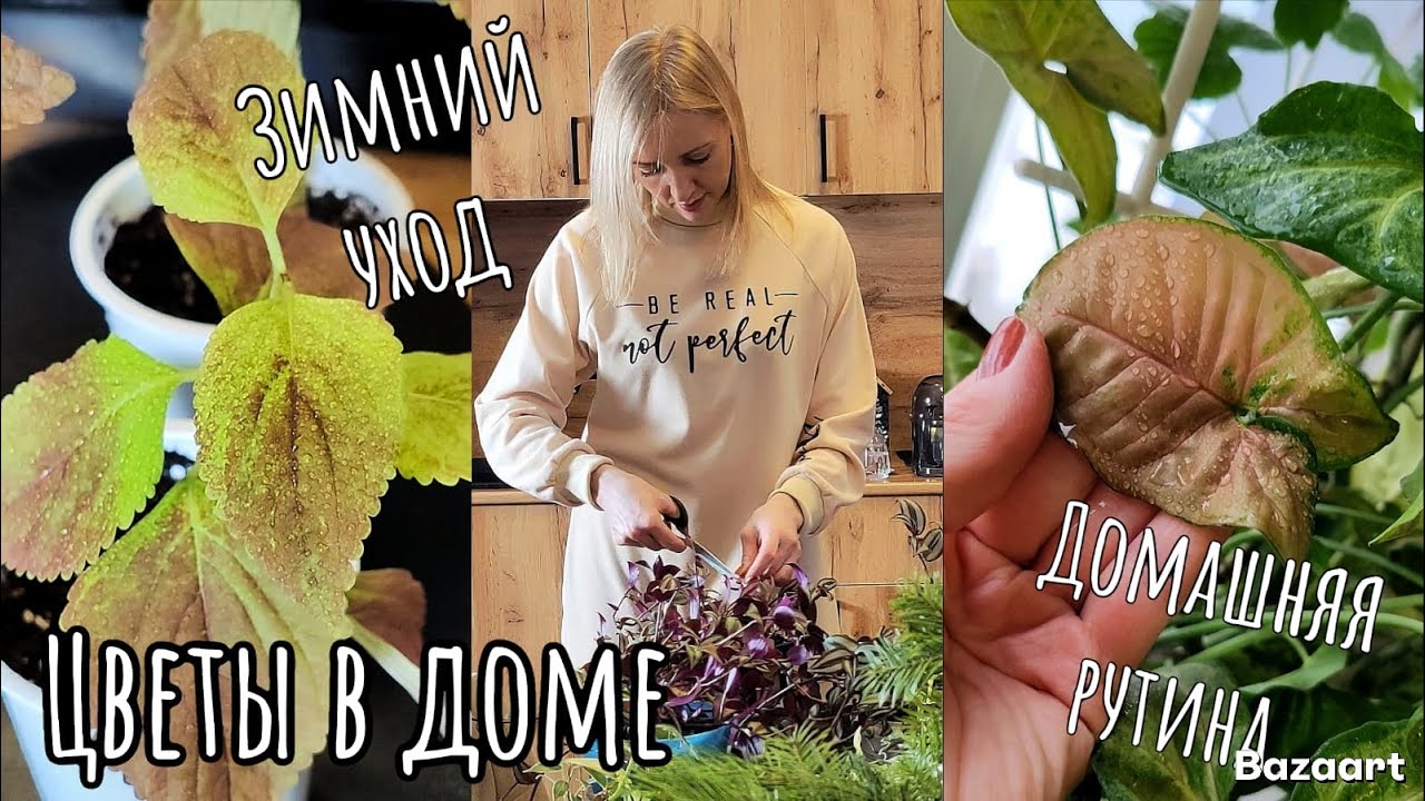 Про цветы в доме, зимний уход и домашние дела.